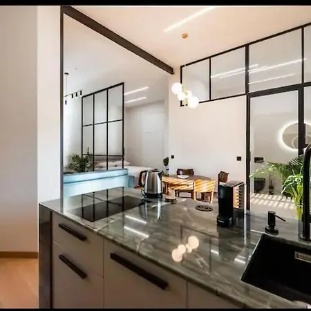 Palace Of Culture Loft 公寓 华沙